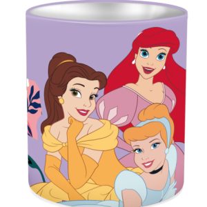 PRINCESSE DISNEY Portapenne Tubo 10x11cm…x6…x48