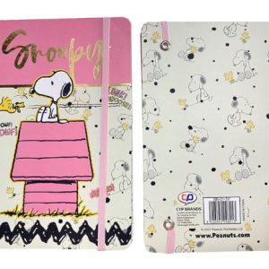 SNOOPY Taccuino A5 c/Snoopy…x36